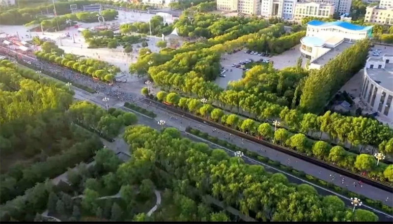 郑州经开区2020年美辰路等13处新建景观绿化工程