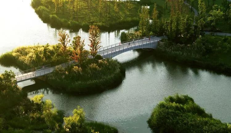 登封市颍河石道乡段水环境集中整治项目